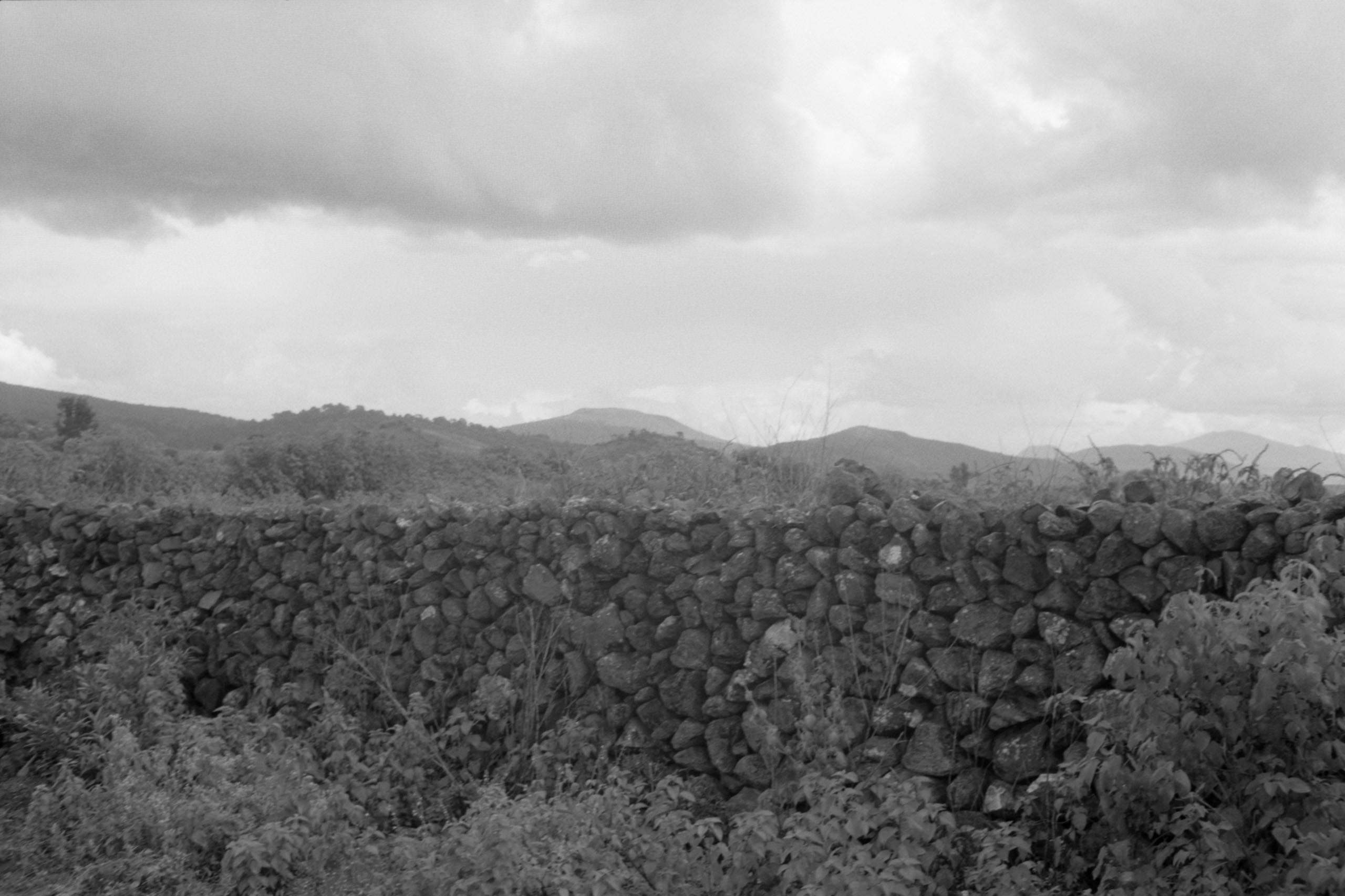 AHP FilmScan 240807 0488